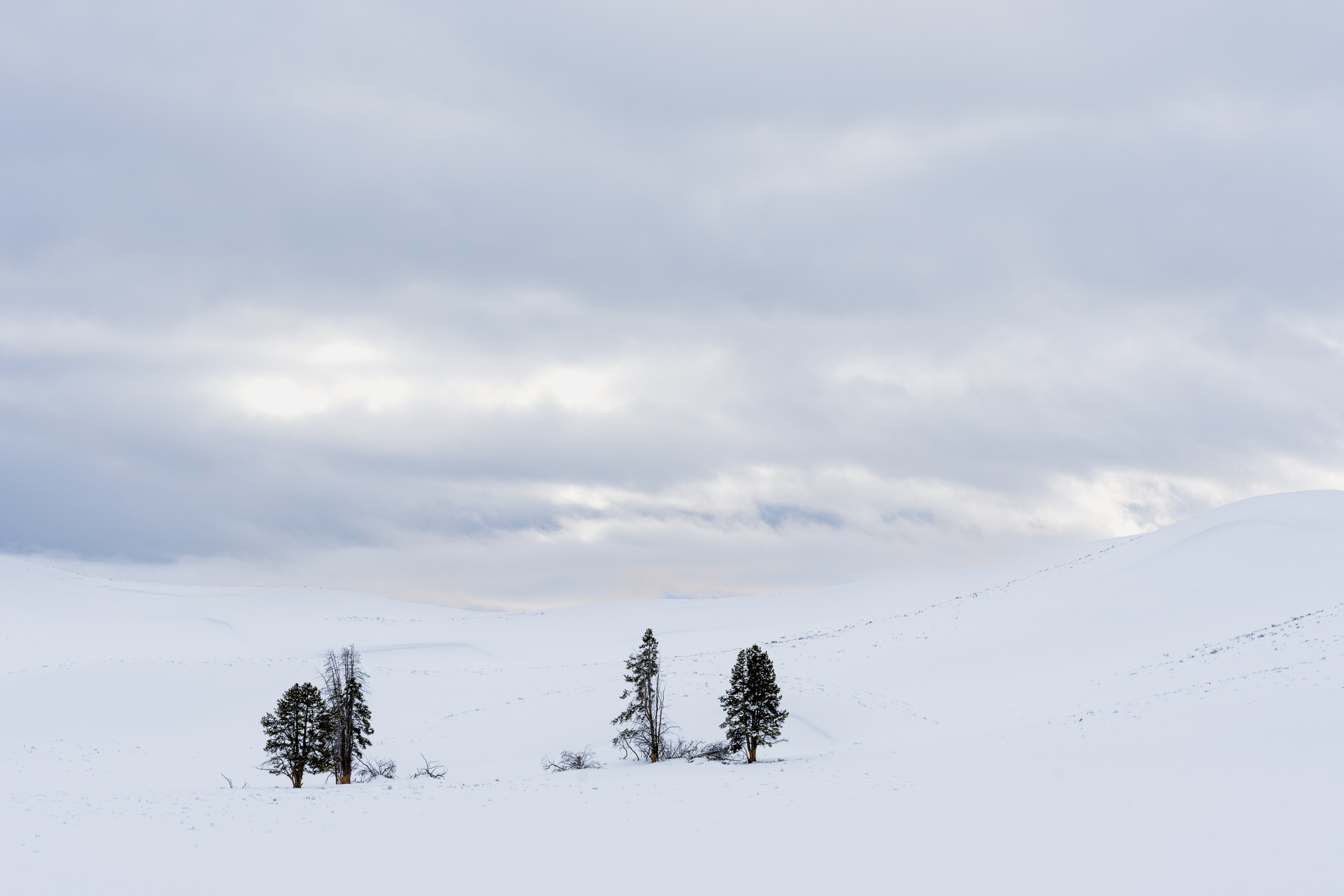 Solitude